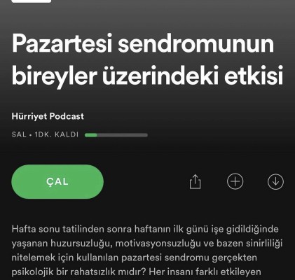 Berk Karaoğlu